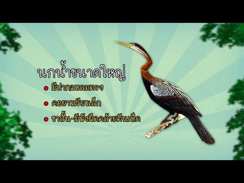 วีดีโอ: เกี่ยวกับอุตสาหกรรมการสังหารในความกว้างใหญ่ของอดีตสหภาพโซเวียต รัสเซียควรใช้เส้นทางใด