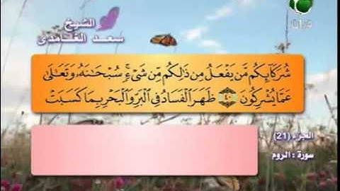 سورة الروم 25 الى 60 ــ سعد الغامدى