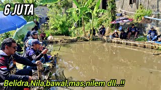 WHOLESALE FISHING FOR 6 MILLION!! Fill the pond with mixed fish