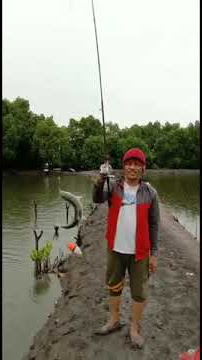 story wa mancing 30 detik- strike ikan bandeng