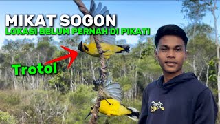 Download Lagu MIKAT SOGON ‼️ LOKASI BELUM PERNAH DIPIKATI WAH MOMEN YANG MENGUNTUNGKAN MP3 Download Lagu MIKAT SOGON ‼️ LOKASI BELUM PERNAH DIPIKATI WAH MOMEN YANG MENGUNTUNGKAN MP3