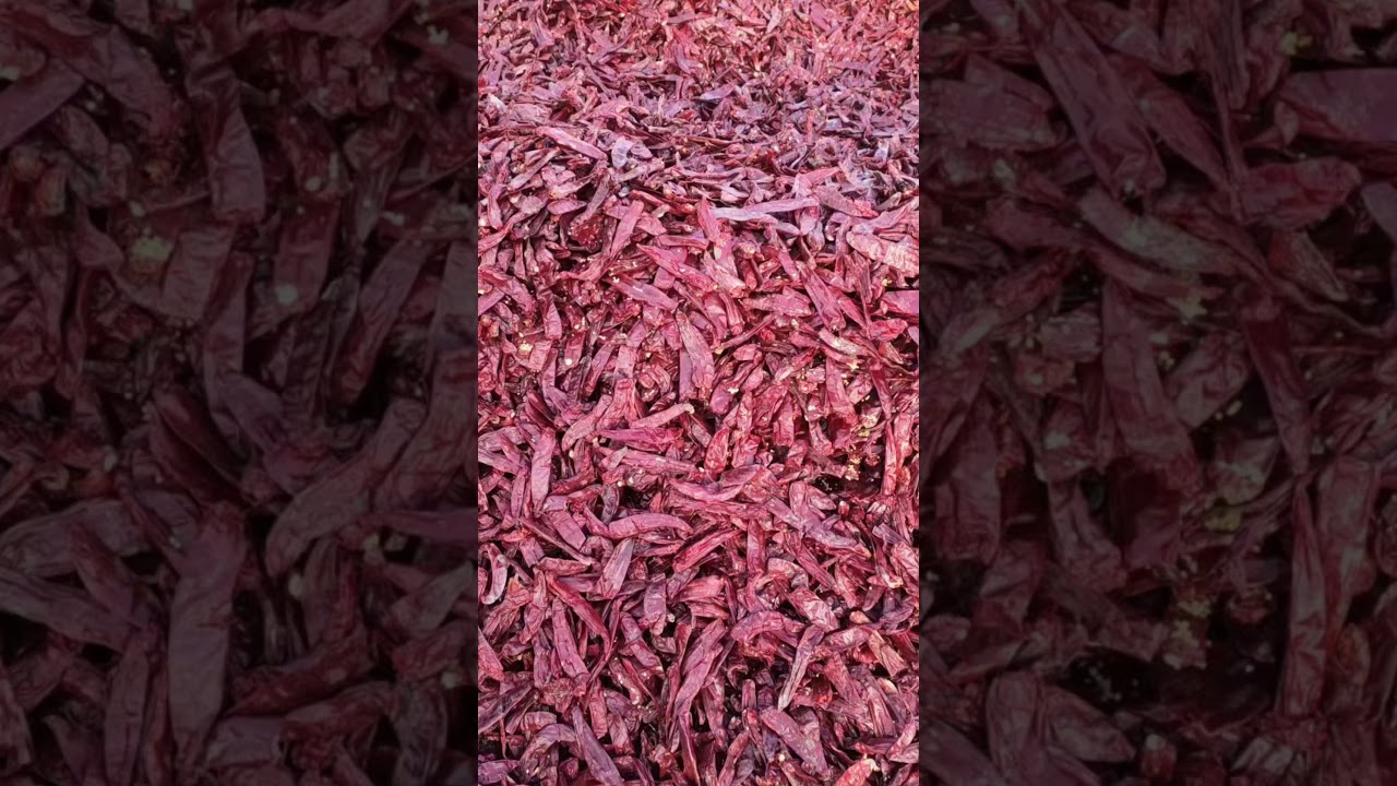 Tyurina Anya bilan jinsiy aloqa Voyeur nudizm video