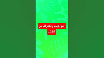 بداية سورة الرحمان