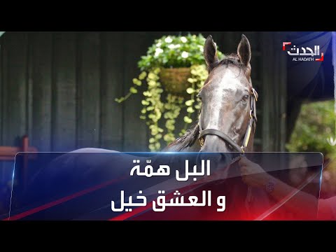 خيول ليبيا الأعلى سعرا