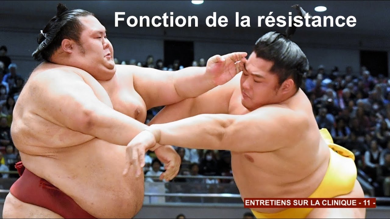 Fonction de la résistance