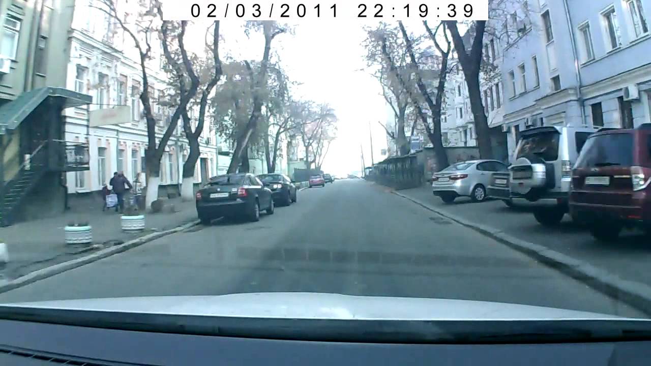 Коза в машине