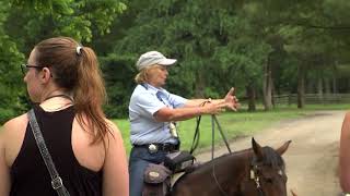 Gettysburg Horse Tours Gugo Pkg