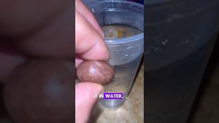 Expired Candy Chronicles: Will They Sink or Float?"
