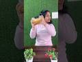 Buttery Spicy Sweetcorn!!#youtube #shorts #trending #viralnow #viral #food #dmrc #recipe