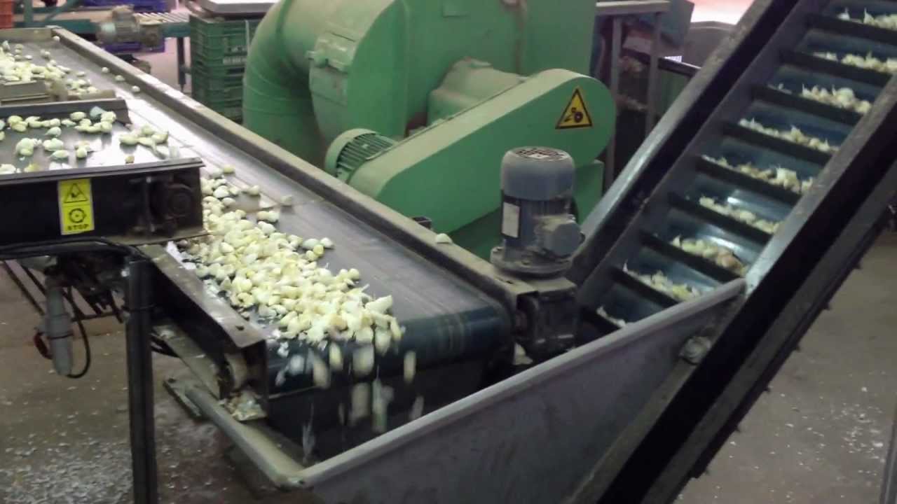 ZOCAPI: Garlic Splitter 2012