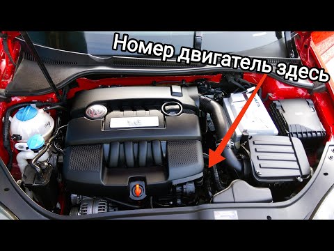 Номер двигателя 1.6 BSE Golf 5, Octavia, Jetta, Polo