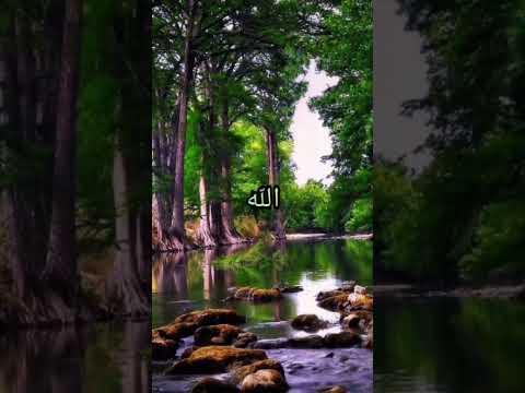 يارب احفظ اخواتي المسلمين 