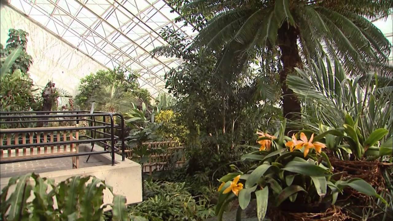 Foellinger Freimann Botanical Conservatory Youtube