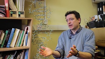 Fluorescence Sensors for DNA