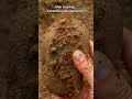 Real jade found in nature 🌿Not all stones are worthless…#jade #stone #gemstone #treasure #viralvideo