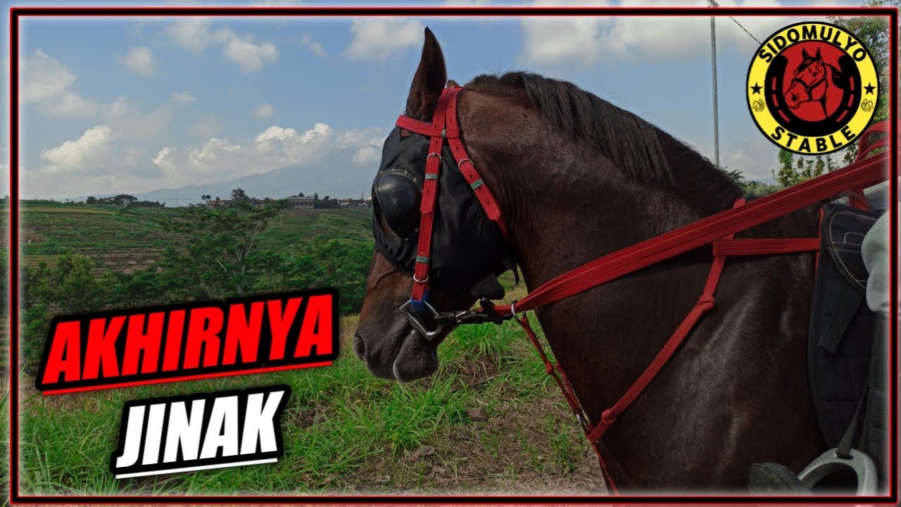 LATIHAN PAGI - Jalan Jalan Naik Gunung Tiba Tiba Ngamuk!!