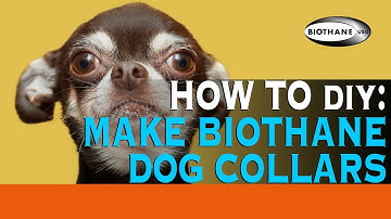 How to Make a BioThane Dog Collar