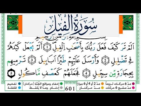 سورة الفيل مكتوبة ياسين الجزائري Surah Al Feel Yassin Al Jazairi ورش عن نافع من طريق الازرق
