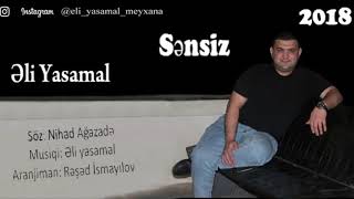 Əli Yasamal - Sənsiz / 2018 Resimi