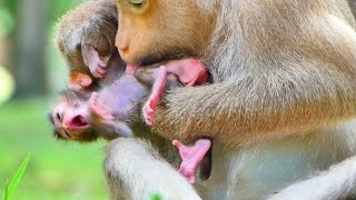 Omg Mummy Rose Make Lovely To Baby Rainbow ,Baby So Exited For Mom Ing Her