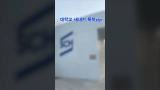 대학생 상황별 룩북zip