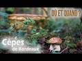 O trouver des cpes  quand trouver des cpes  mes conseils 