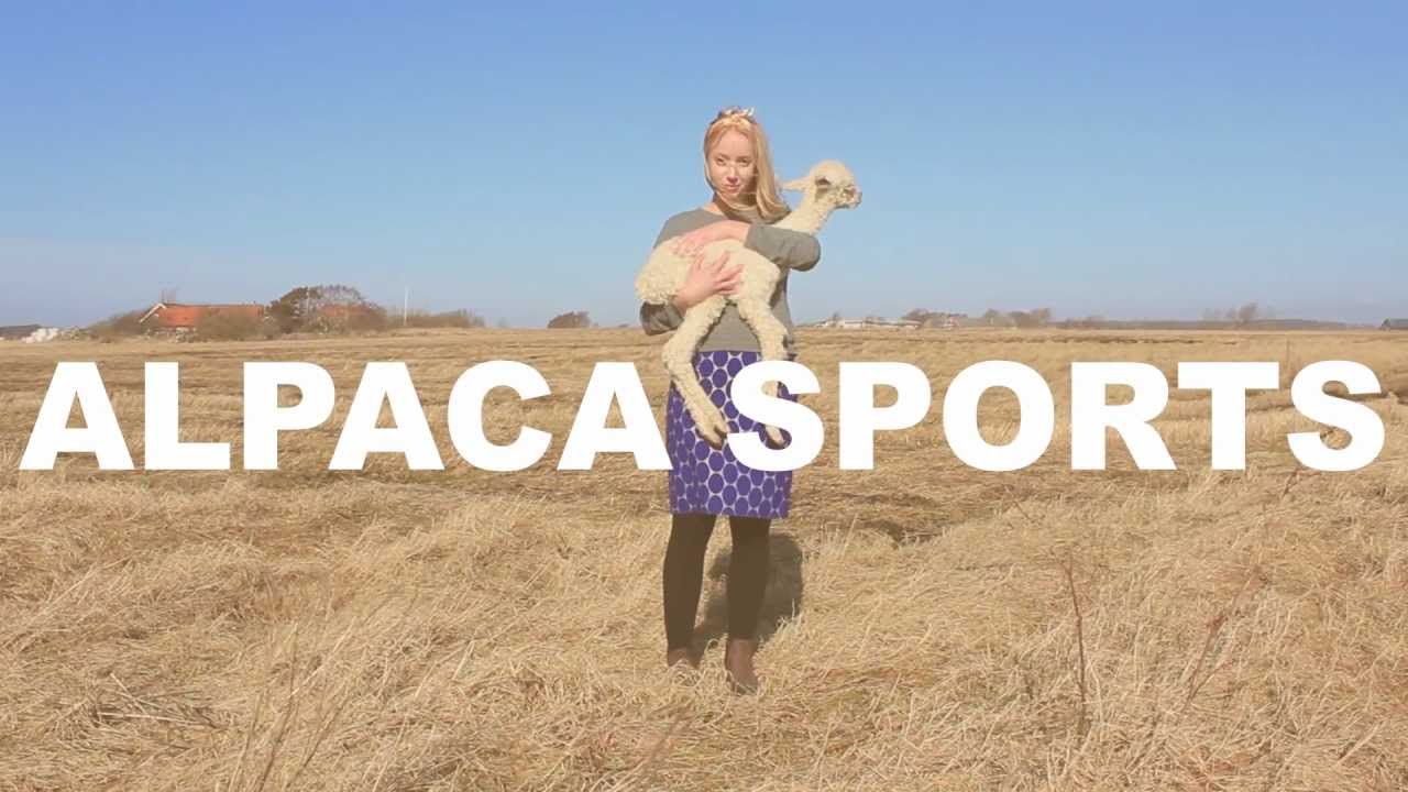Alpaca Sports - Just for fun (official video)