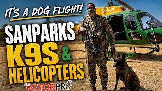 It s a Dog Flight SANParks K9s and Helicopters