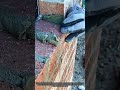 Finishing the wall