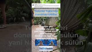 Toxic Ilişki Insanlara Özgü Mü? Resimi