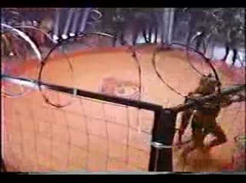 Cage catfight