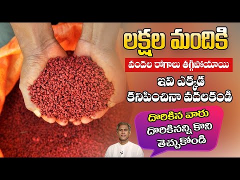 Eyesight Improving Seeds | Reduces Diabetic Retina Problems | Annatto Seeds | Manthena's Health Tips