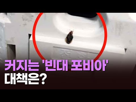 커지는 &amp;#39;<strong>빈대</strong> 포비아&amp;#39;…&amp;quot;유럽·동남아 등 각지서 유입&amp;quot; [따져보니]