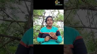 Can Canva Alone Start Your Graphic Design Career? Beginners Guide | Telugu-English Digital Skills