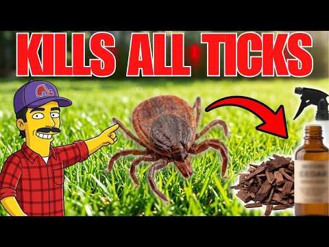 Kill Every TICK In Your Yard — SAFE For Pets & Kids! thumbnail