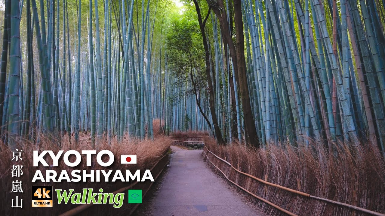[4K Relaxing Walk] Kyoto Arashiyama Morning Tour | Bamboo Grove & Toriimoto Historic  Street