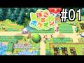 【ぽこ あ ポケモン】スローライフを楽しもう【塩と胡椒】