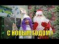 С Новым годом! Новогоднее поздравление!