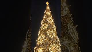Countdown! Lighting of Giant Christmas tree