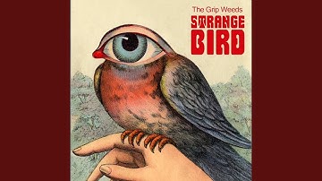 Strange Bird