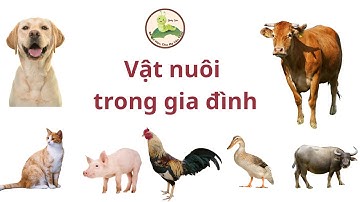 Dạy bé học các con vật nuôi trong nhà gia đình | tiếng kêu và hình ảnh động vật