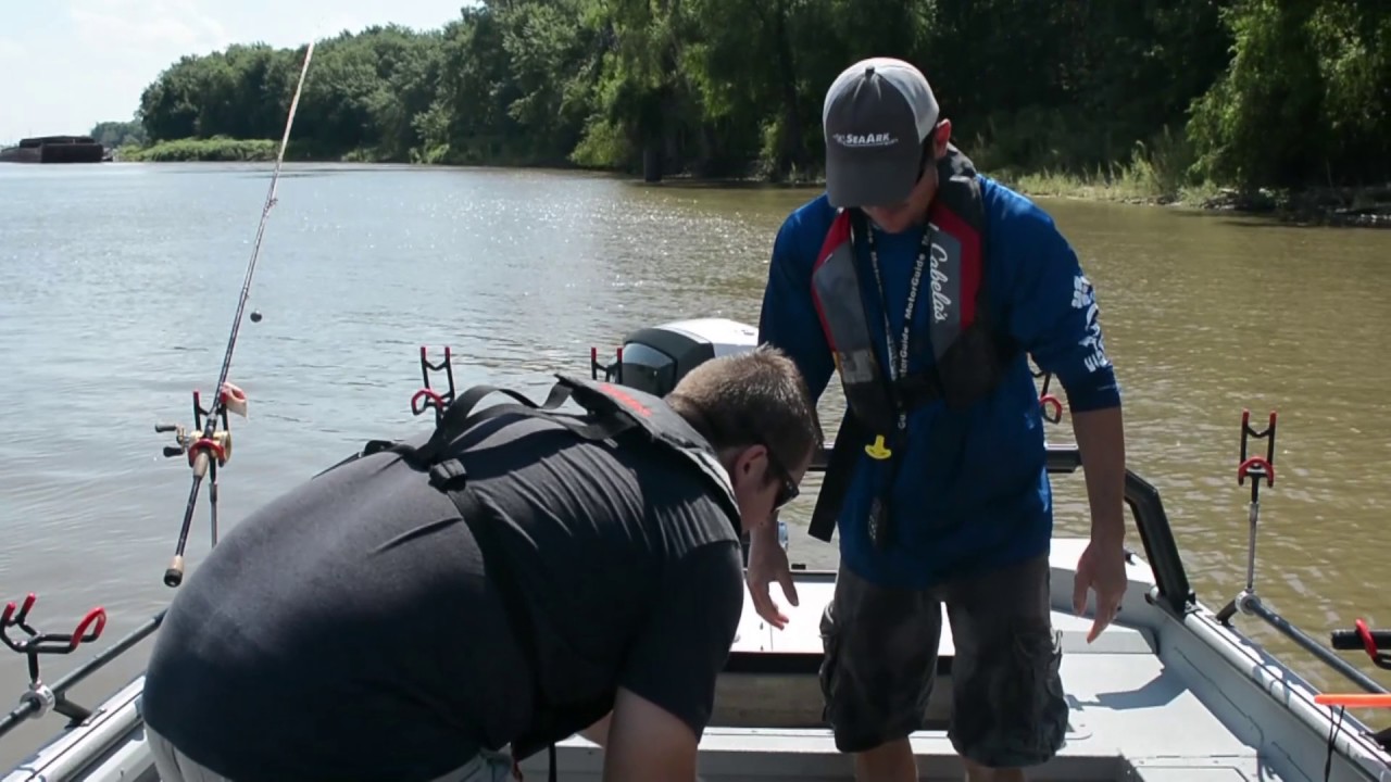 How To Weigh Fish & Hold A Bass Properly (fishing tutorial) Best Scales of  2021 