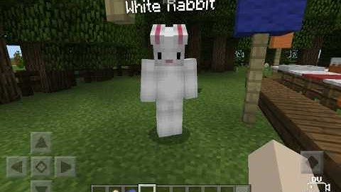 Alice in Wonderland part 2 || Minecraft Act 💗