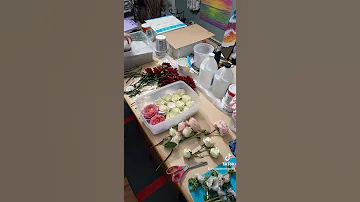 How To Preserve Flowers With Silica Gel Sand 