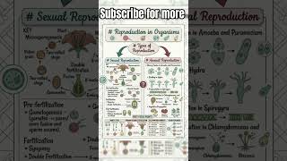 neet notes #class12 #biology #asethetic  #neet2026#ncert #competition #gs #gk #trending #shorts