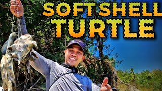 EP933 - Soft Shell Turtle Hunt and Cook screenshot 5
