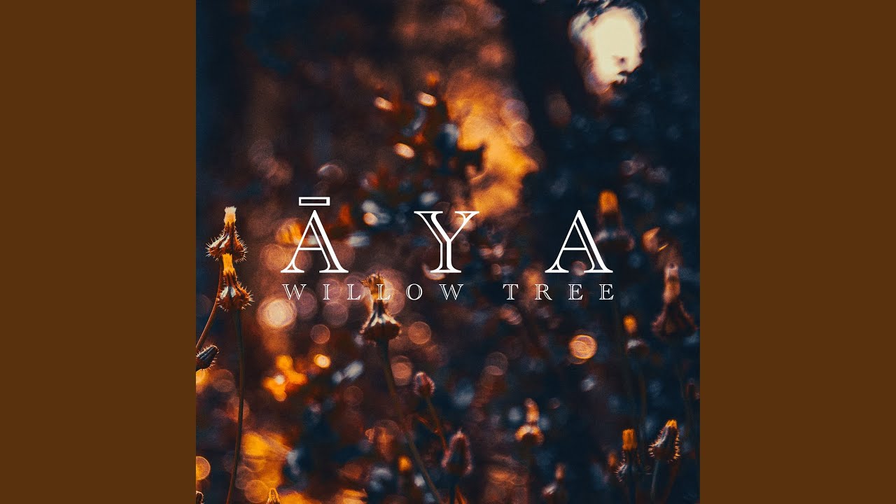 Guarda willow tree su YouTube Guarda willow tree su YouTube