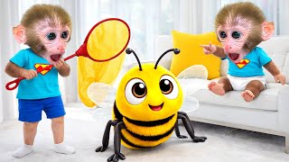 Le bébé singe Bonbon attrape des abeilles et protège son petit frère