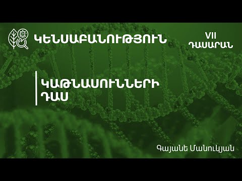 Կաթնասունների դաս. 7-րդ դասարան