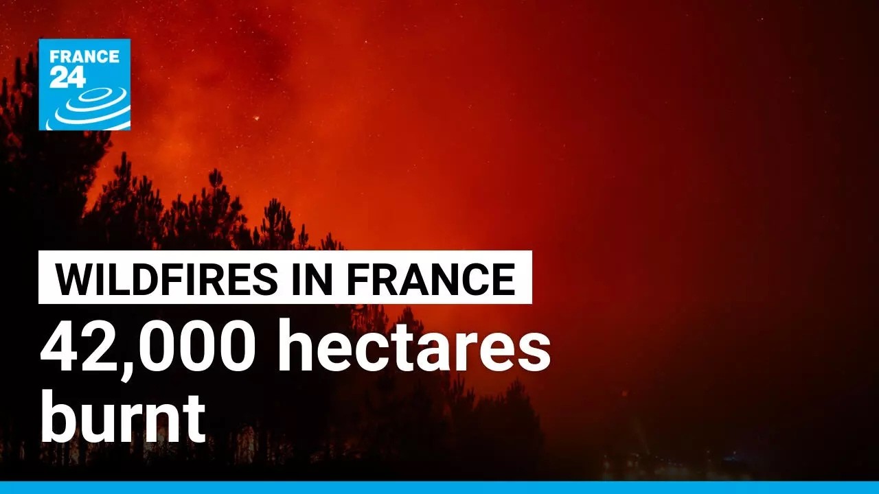 Fires in France: 42,000 hectares burnt, 220,000 people evacuated • FRANCE 24 English